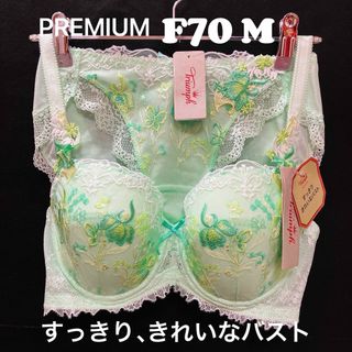 トリンプ(Triumph)のトリンププレミアム レッドレーベル 0078 ブラジャー &ショーツ（ミント）(ブラ&ショーツセット)