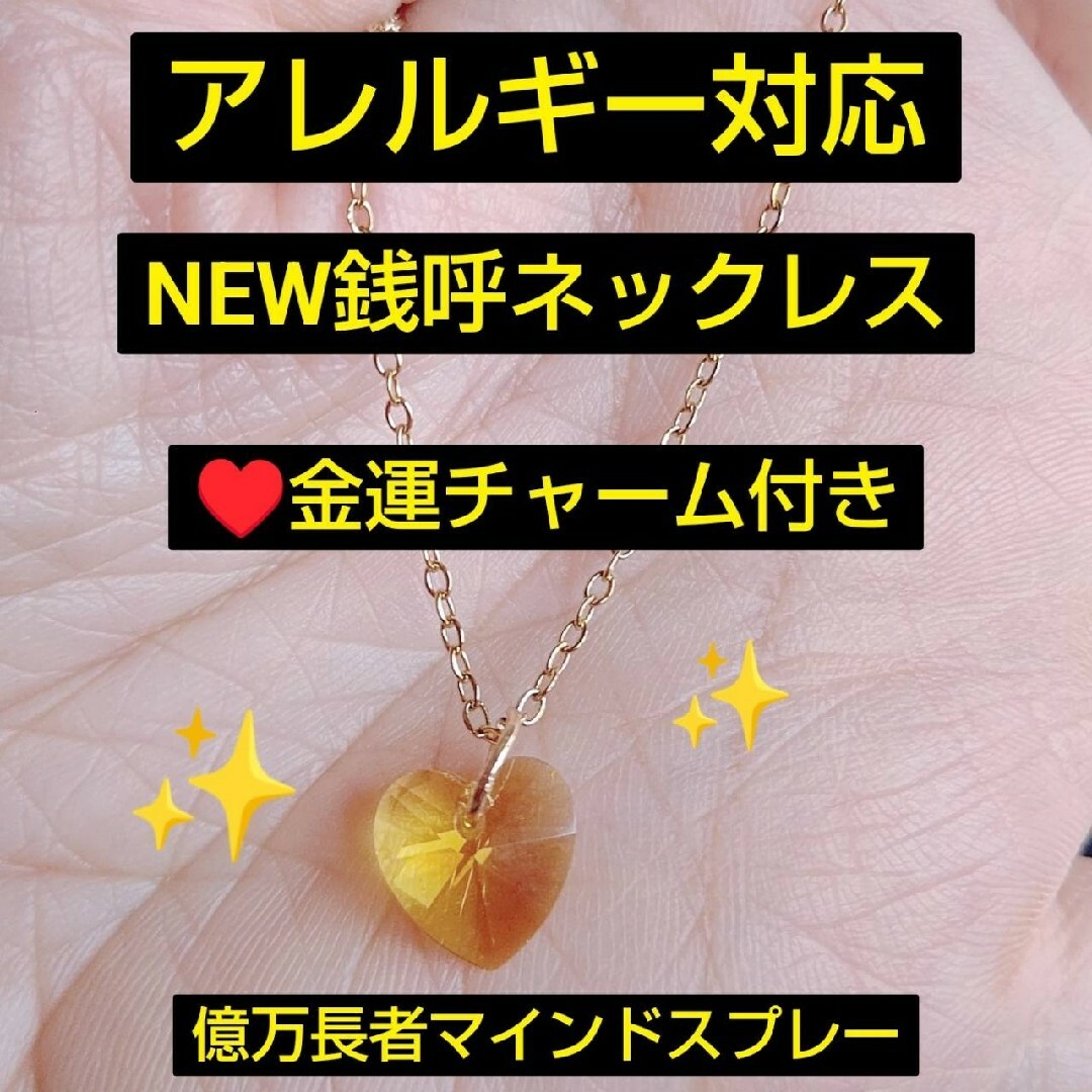 アレルギー対応！NEW銭呼ネックレス！ レディースのアクセサリー(ネックレス)の商品写真