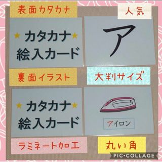 【新品】カタカナ絵入カード大判サイズラミネート加工収納袋付　学校、日本語教室教材(知育玩具)