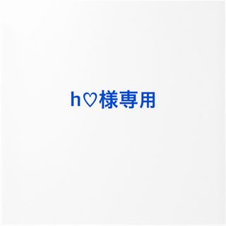 h❤︎様専用(その他)