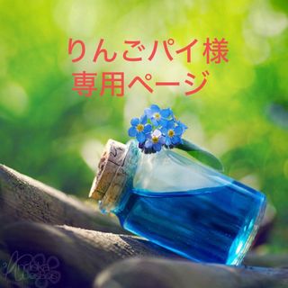 かすみ草 ドライフラワー 蕾 〈ホワイト〉