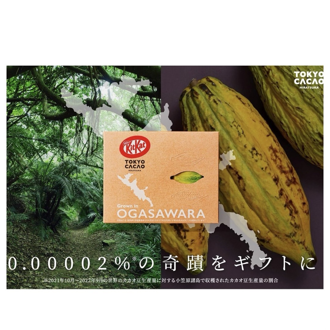 ネスレ日本 キットカットミニ 東京カカオ 6枚 食品/飲料/酒の食品(菓子/デザート)の商品写真