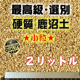 【硬質】 鹿沼土 小粒 2L 多肉植物 寄せ植え サボテン 観葉植物(その他)