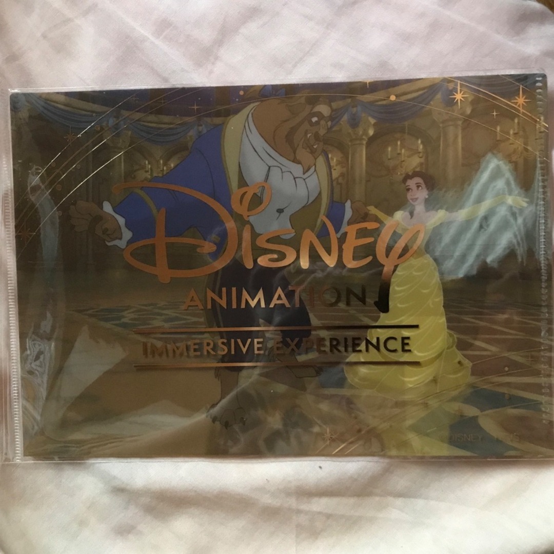 Disney(ディズニー)のクリアファイル エンタメ/ホビーのアニメグッズ(クリアファイル)の商品写真