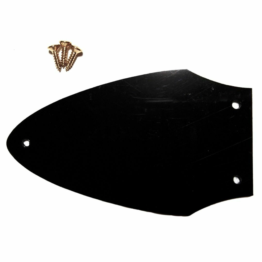 Gibson Flying V トラスロッドカバー黒ゴールド文字 楽器のギター(エレキギター)の商品写真