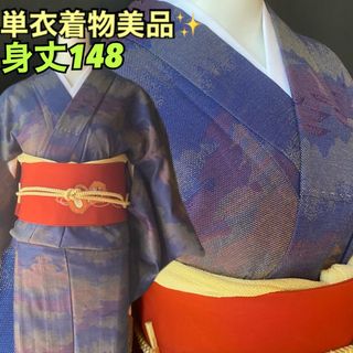 単衣着物美品！肌触りなめらかブルーのみやこ模様　身丈148(着物)