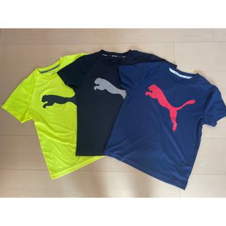 プーマ(PUMA)のプーマ140cmキッズウェア(ウェア)