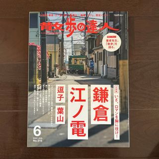 散歩の達人 2022年 06月号 [雑誌](ニュース/総合)