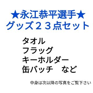 サイタマセイブライオンズ(埼玉西武ライオンズ)の#59 #32 永江恭平 グッズ 23点セット(応援グッズ)