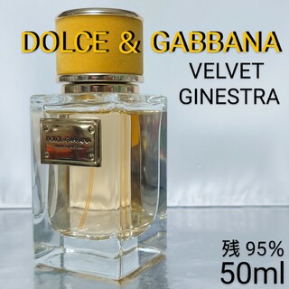 DOLCE&GABBANA - 【残量95％】ベルベット ジネストラ プールファム オードパルファム 50ml