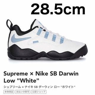 シュプリーム(Supreme)のSupreme × Nike SB Darwin Low "White" シュプ(スニーカー)