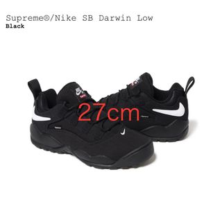 Supreme - Supreme Nike SB Darwin Low ダーウィン ロー