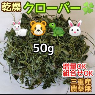 乾燥クローバー☘️50g ウサギ チンチラ デグー リクガメ等 ☆増量組合OK(小動物)