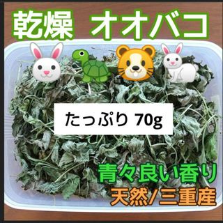 乾燥オオバコ たっぷり70g 草食動物おやつ 三重産農薬無 ウサギ リクガメ 他(小動物)