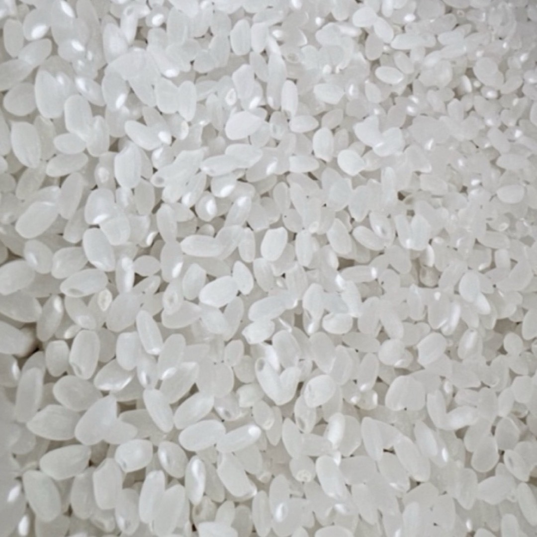 白米　兵庫県産　キヌヒカリ1kg 食品/飲料/酒の食品(米/穀物)の商品写真