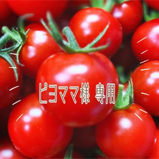 ミニトマト　MIX３ｋｇ(野菜)