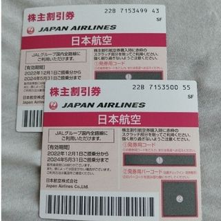 ジャル(ニホンコウクウ)(JAL(日本航空))のJAL株主割引券(その他)