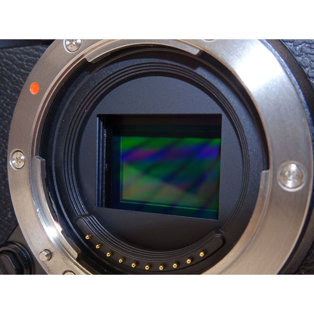 【外観特上級】FUJIFILM ミラーレスデジタルカメラ X-S10 ボディ F X-S10 ブラック スマホ/家電/カメラのカメラ(ミラーレス一眼)の商品写真