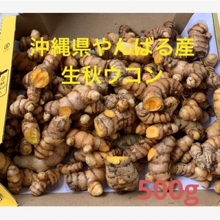 完全無農薬沖縄県やんばる産生秋ウコン500g(野菜)