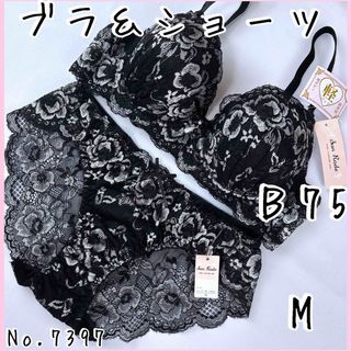 ブラジャーショーツセットＢ75    No.7397(ブラ&ショーツセット)