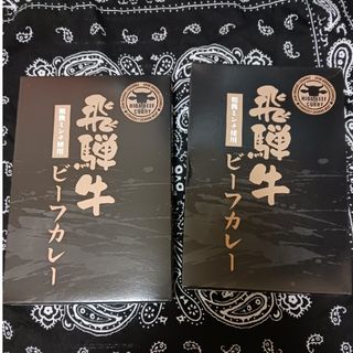 飛騨牛　ビーフカレー　レトルトカレー　レトルト食品　まとめ売り