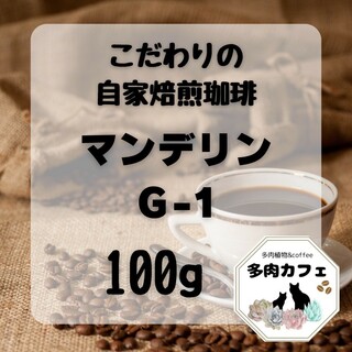 自家焙煎珈琲　マンデリン　300g(コーヒー)