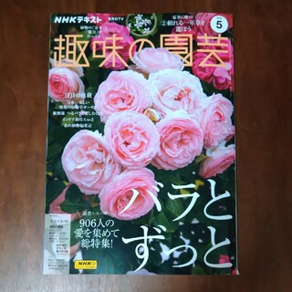 NHK 趣味の園芸 2024年 5月号(専門誌)