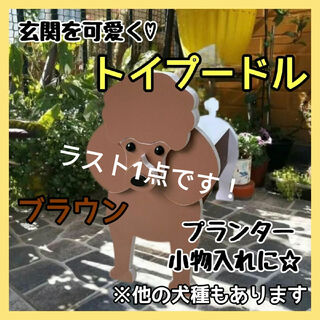 【訳あり】トイプードル 茶 ペット プランター 雑貨 鉢植え 犬 観葉植物(プランター)