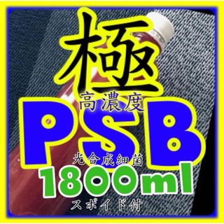 ☀️超高濃度 光合成細菌PSB種菌　1800ml &スポイド付(アクアリウム)