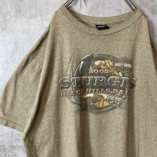 ハーレーダビッドソン(Harley Davidson)の【usa製、オーバーサイズ】ハーレーダビッドソンくすみカラー古着ストリートXL(Tシャツ/カットソー(半袖/袖なし))