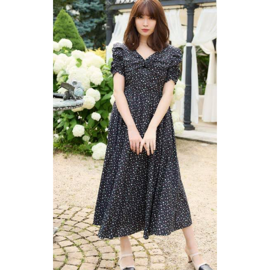 Her lip to(ハーリップトゥ)の美品 Herlipto Roseraie Long Dress  Black M レディースのワンピース(ロングワンピース/マキシワンピース)の商品写真