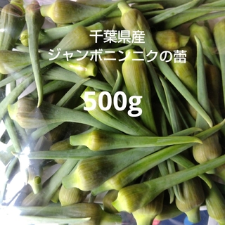 千葉県産ジャンボニンニクの蕾500g栽培期間中農薬不使用(野菜)