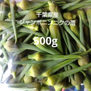 千葉県産ジャンボニンニクの蕾500g栽培期間中農薬不使用