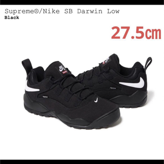 Supreme - Supreme Nike SB Darwin Low 27.5