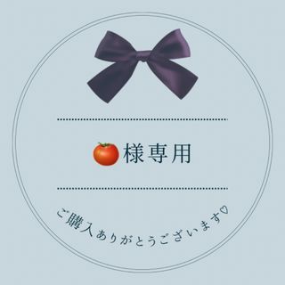 🍅様専用♡(つけ爪/ネイルチップ)