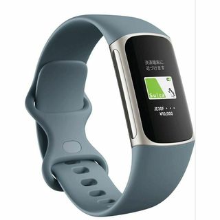 Fitbit Charge 5 トラッカー スチールブルー/プラチナ(腕時計(デジタル))