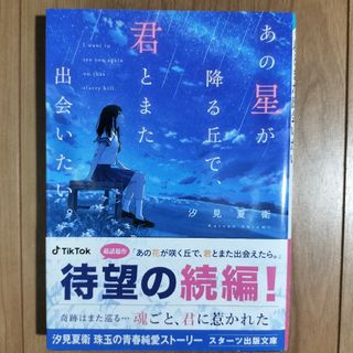 あの星が降る丘で、君とまた出会いたい。(その他)