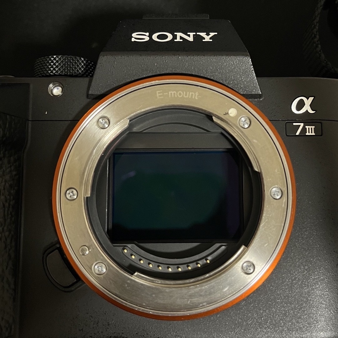 SONY α7iii SONY α7iii