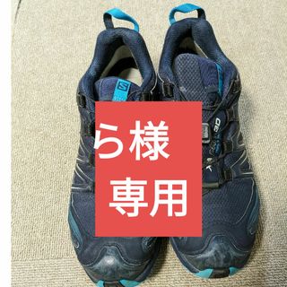 サロモン(SALOMON)のSALOMON  XAPro(その他)