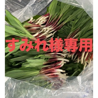 北海道産天然物行者にんにく　1キロ(野菜)