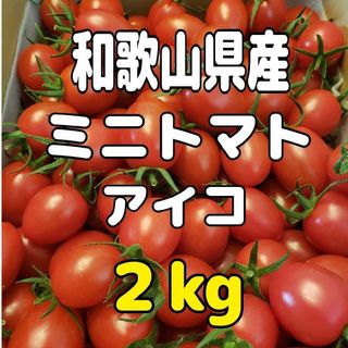 和歌山県産 ミニトマト アイコ ２kg(野菜)