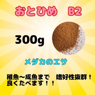 おとひめB2 メダカのエサ　300g(アクアリウム)