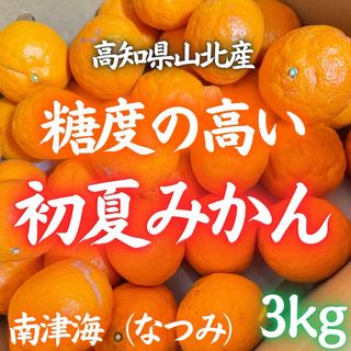 01高知県山北産 サイズおまかせ なつみ 南津海 約3kg 初夏みかん(フルーツ)