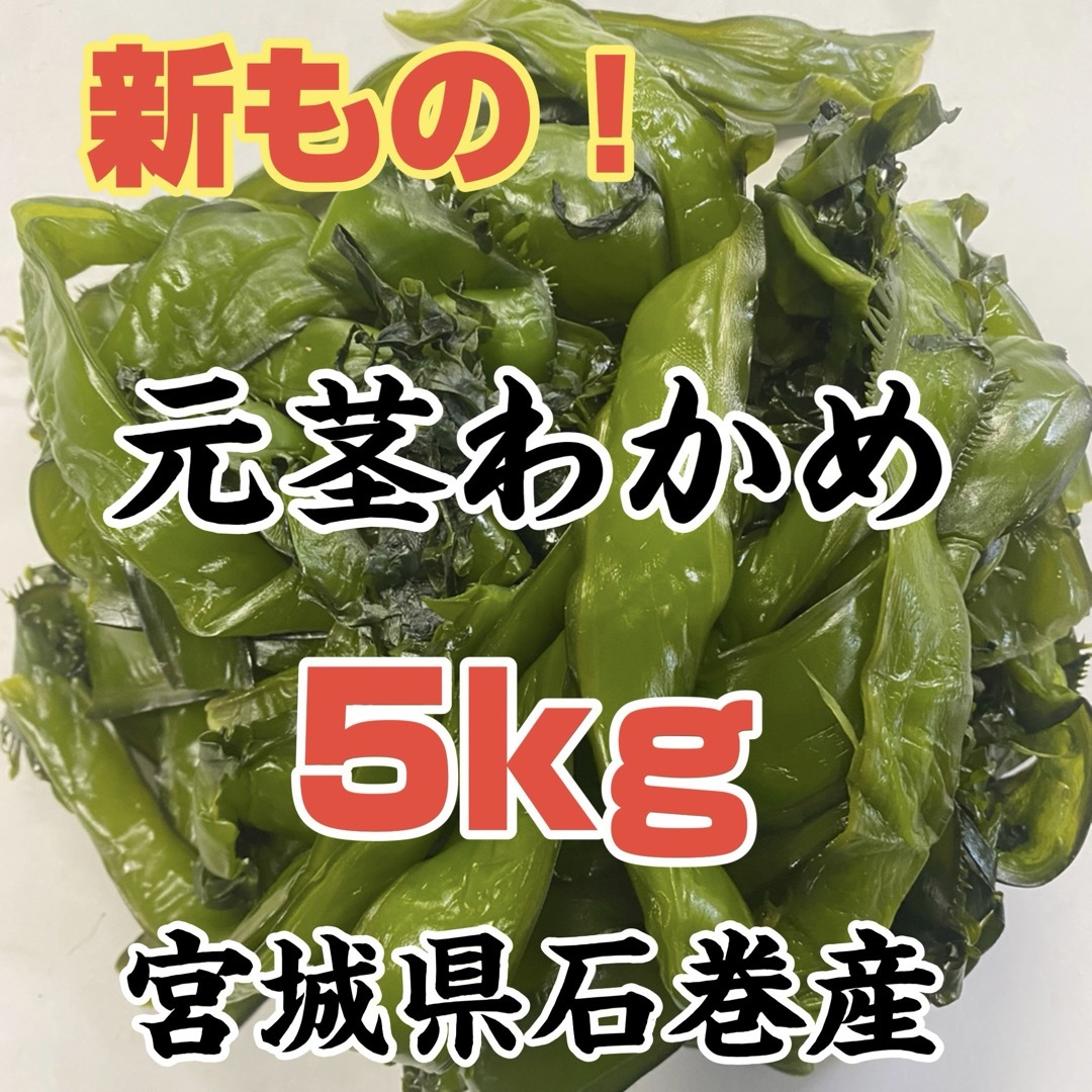 元茎わかめ　宮城県石巻産　新もの！ 食品/飲料/酒の食品(その他)の商品写真