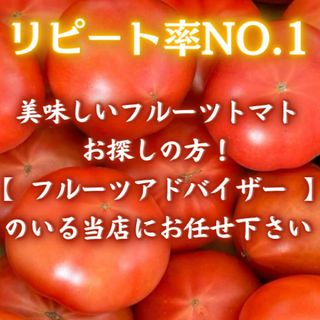 48高知県産 土佐 フルーツトマト 約2kg  高知特産(野菜)