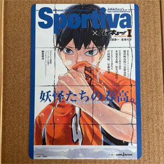 ハイキュー!!　影山飛雄　B5ビジュアルボード　ショーセツバン アニメイト　特典(キャラクターグッズ)