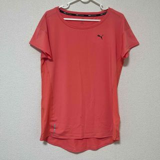 プーマ(PUMA)のプーマ　スポーツウェア　Tシャツ(Tシャツ(半袖/袖なし))