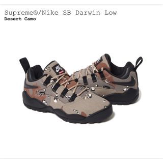 シュプリーム(Supreme)のSupreme Nike SB Darwin Low camo 9(スニーカー)