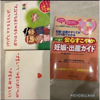 いつもみてるよ×パパとママをえらんで　安心すこやか　妊娠・出産ガイド　3冊セット(住まい/暮らし/子育て)