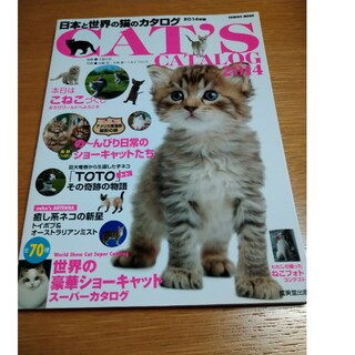 日本と世界の猫のカタログ(住まい/暮らし/子育て)